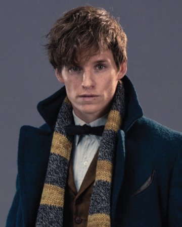 Newt Scamander | Wiki | •Harry Potter• Español Amino