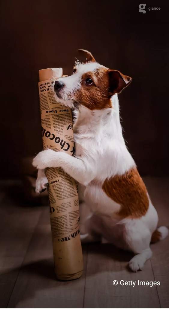 🤔Why Do Old Newspapers & Book Pages Turn Yellow? School Amino