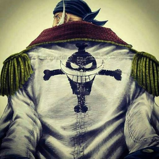 Barba Branca Wiki One Piece Brasil Amino