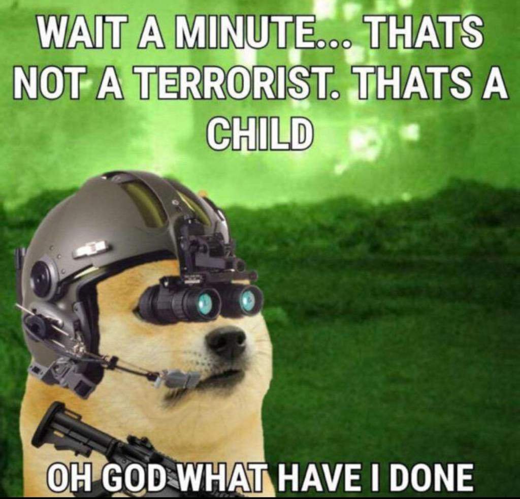 I unironically love ironic doge memes.... huh ironic. Dank Memes Amino