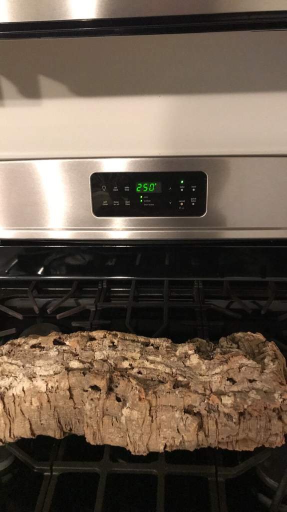 Disinfecting cork bark Leopard Geckos Amino