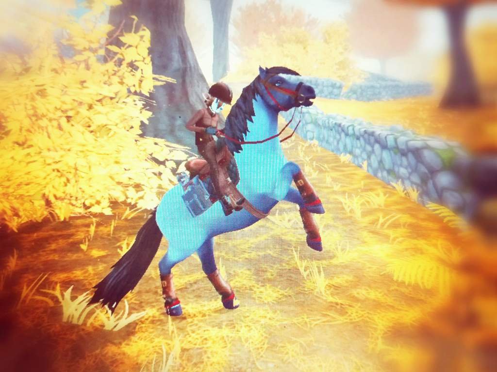 Hi! What's your favourite sso horse? Star Stable Online Amino