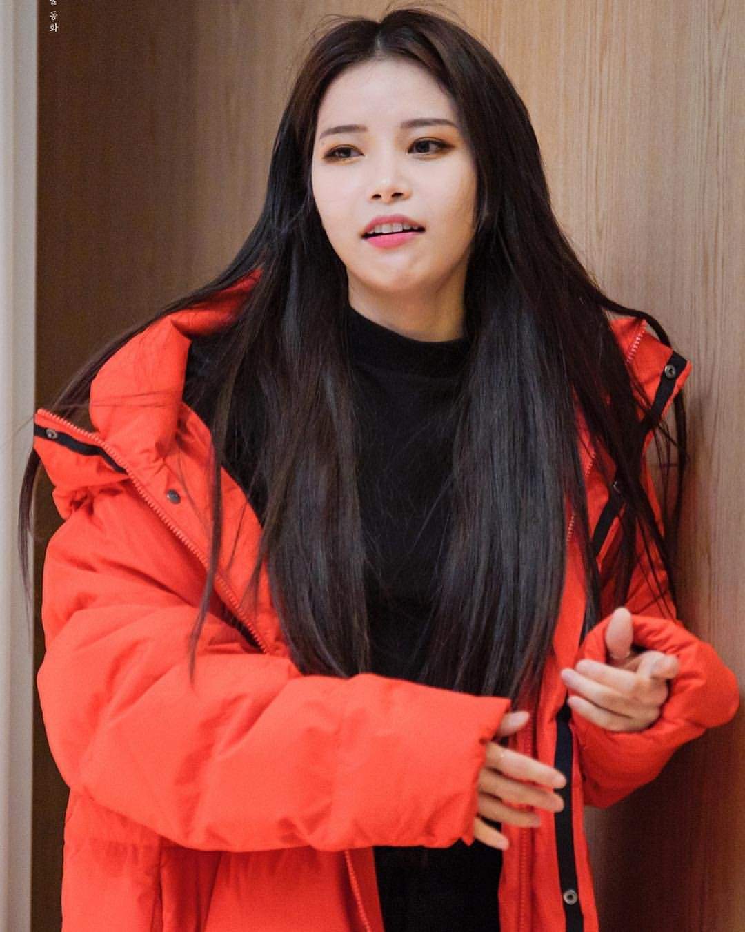 Solar Wiki Mamamoo Amino Amino