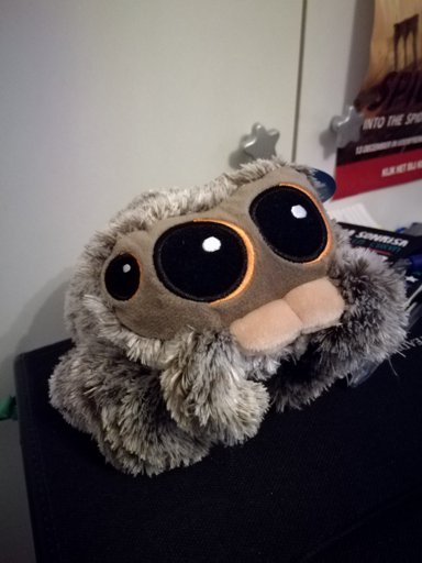 lucas spider stuffed animal