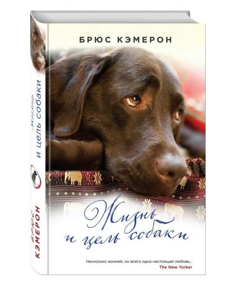 Лучшие книги про собак | Wiki | Собаки [Dogs•mania] Amino
