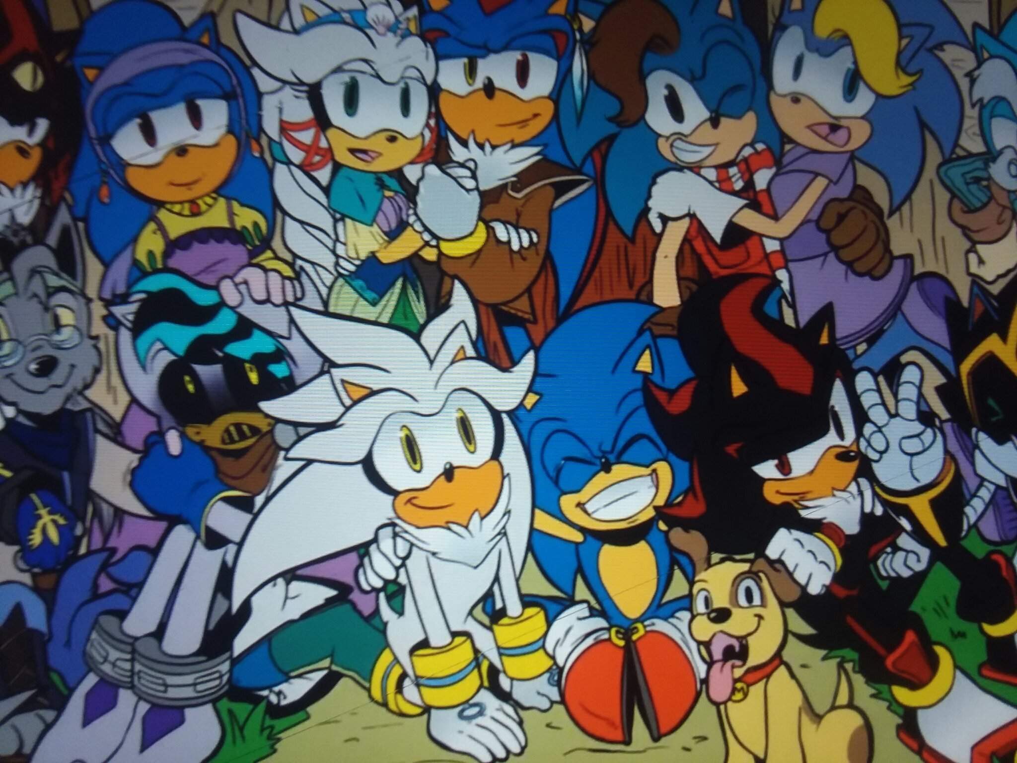 Team Hedgehogs Wiki Sonic The Hedgehog Amino