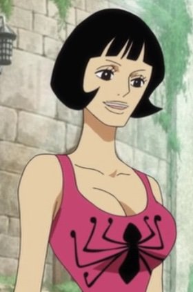 Сякки (Шакки) Wiki Ван Пис One Piece Ролевая Amino.