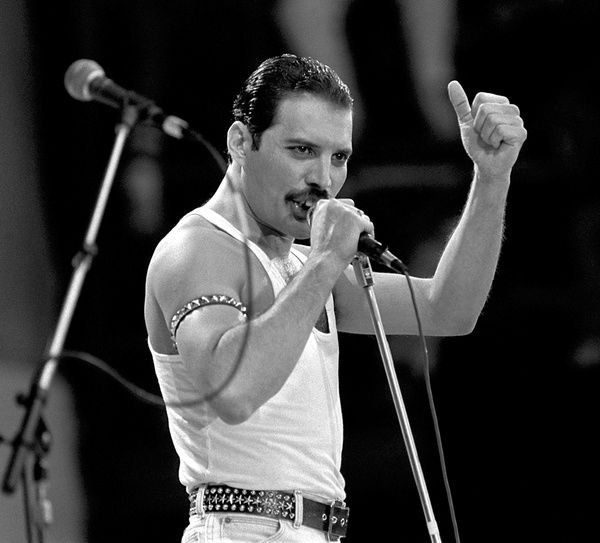 Freddie mercury solo career Idea