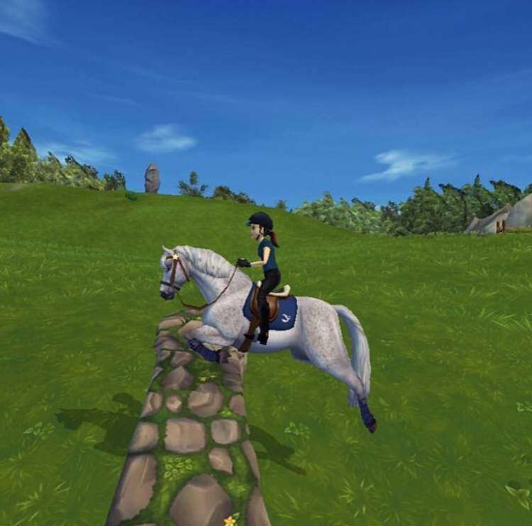 This Is Clover My Connemara D Wiki Star Stable Online Amino
