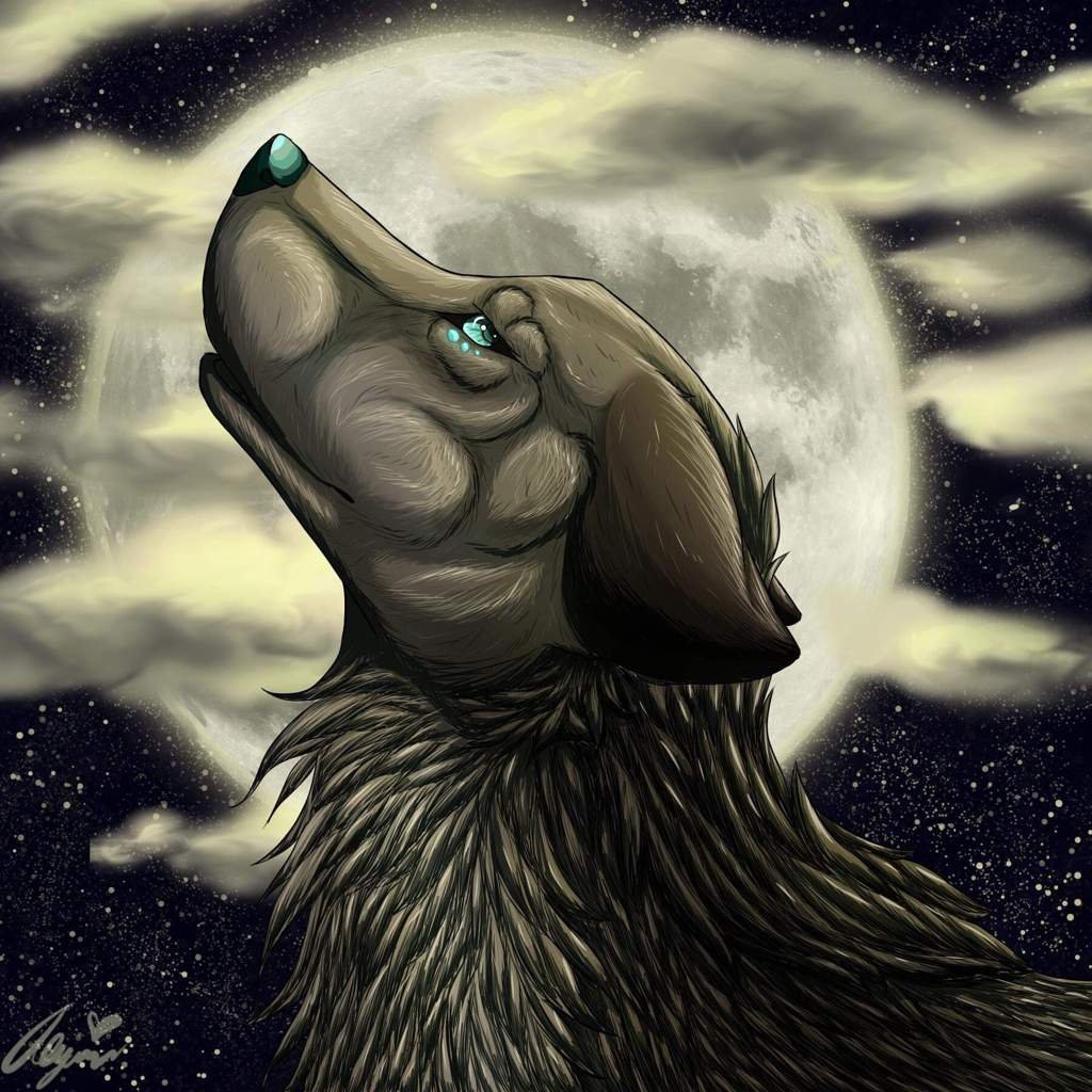 Nova | Wolf Amino Amino