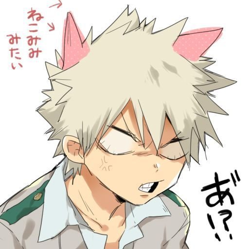 Bakugo Katsuki Wiki Anime Amino