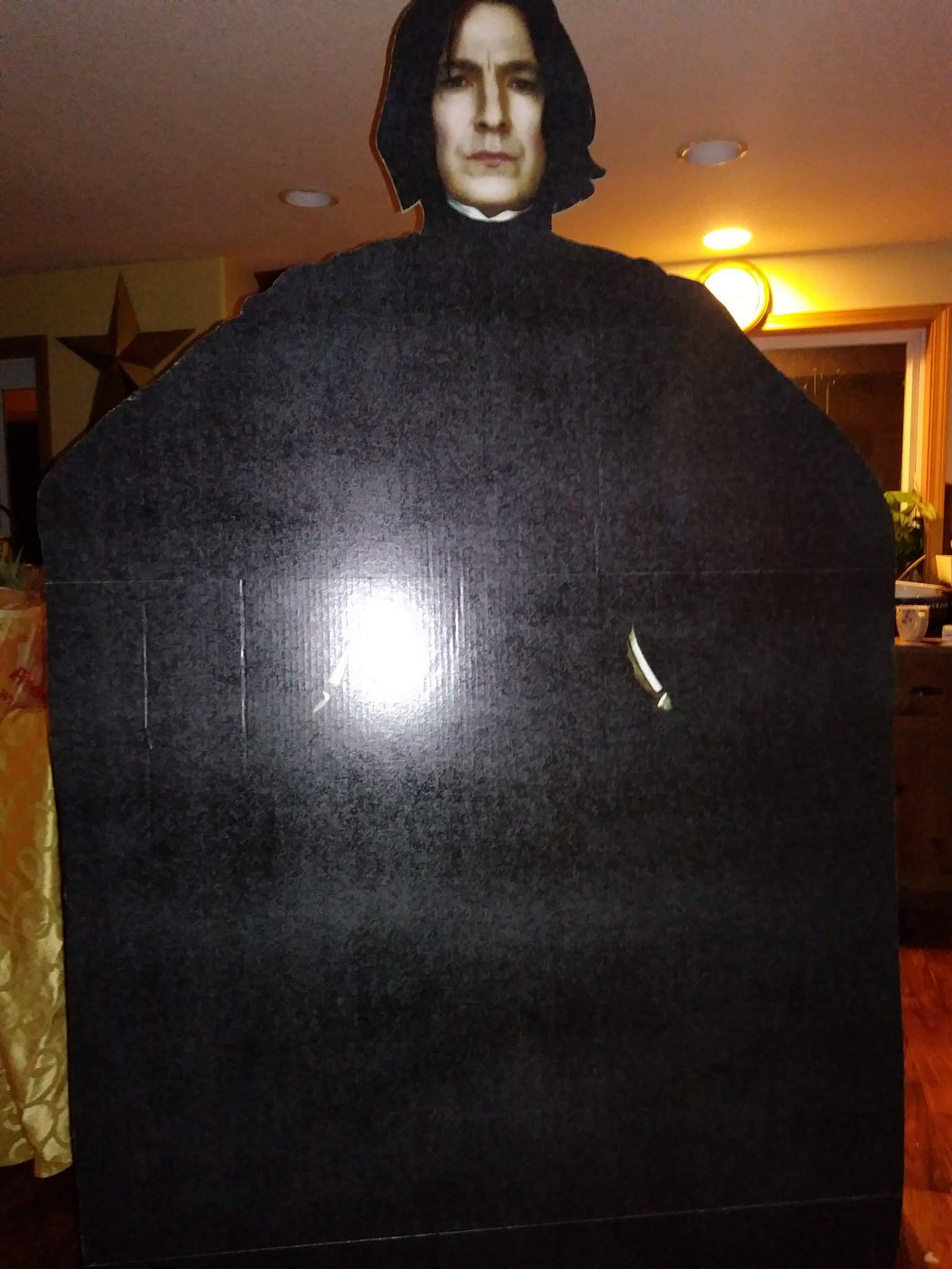 I Got The Best Christmas Present A Snape Cardboard Cut Out Harry Potter Amino