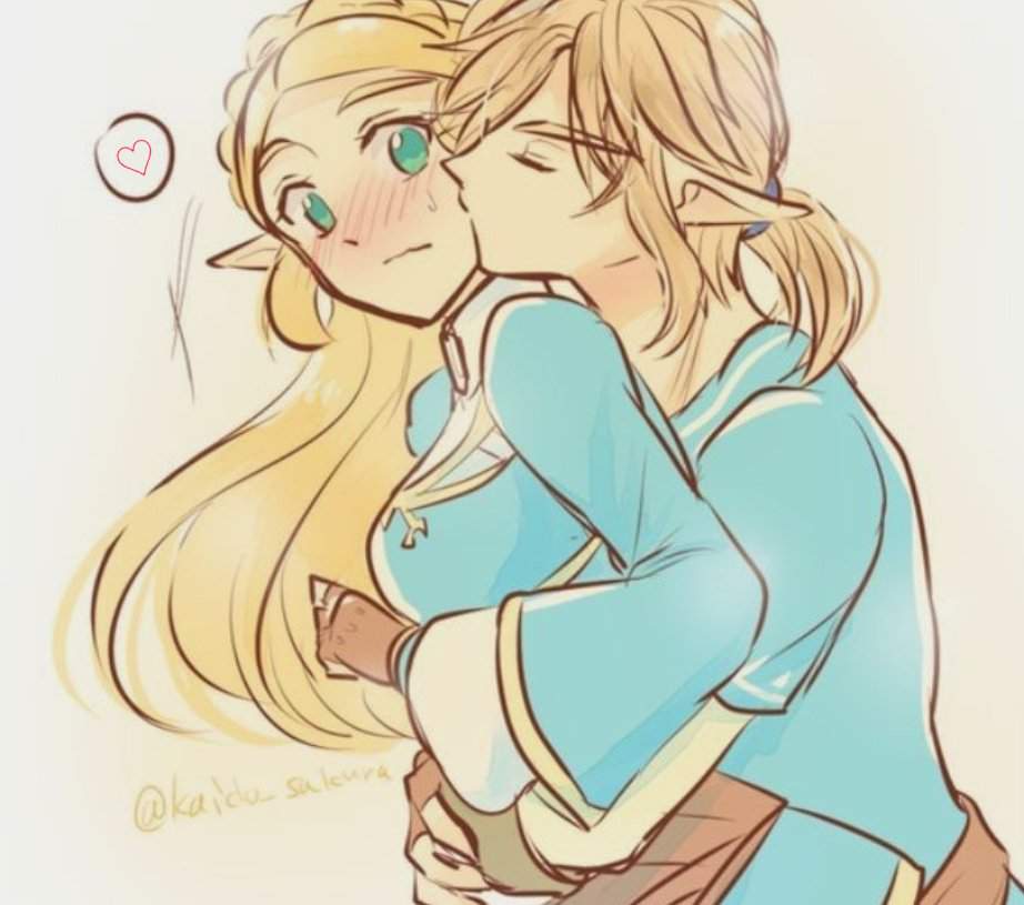 Zelink Pictures Zelda Amino