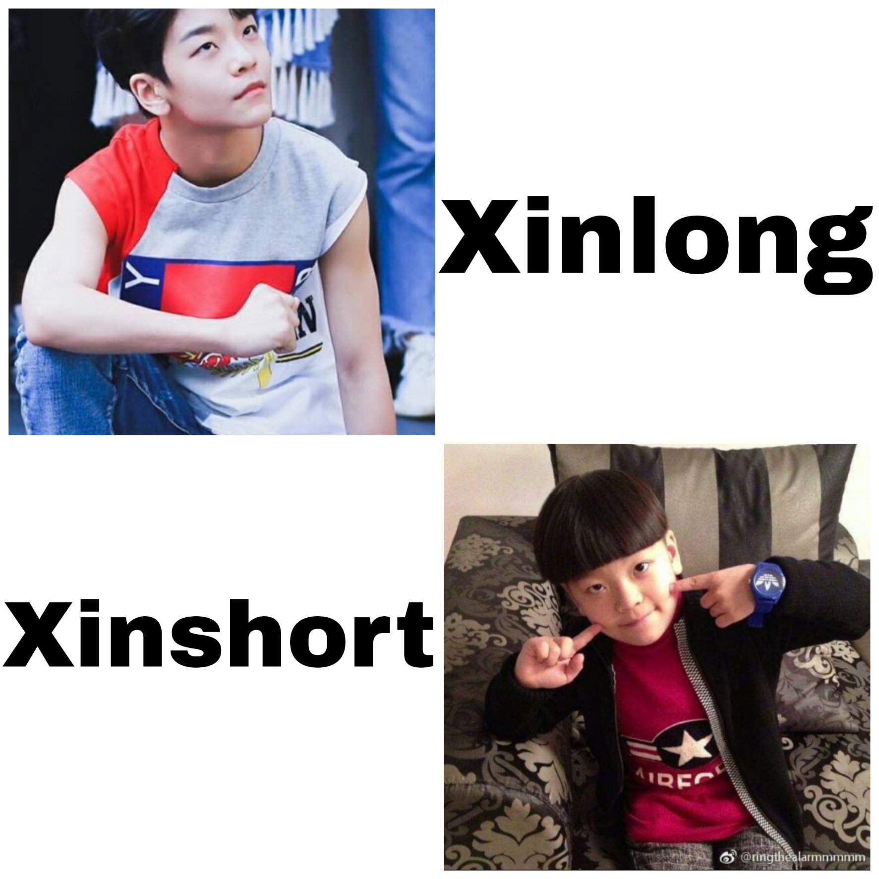 Just two Xinlong memes | BOYSTORY Amino