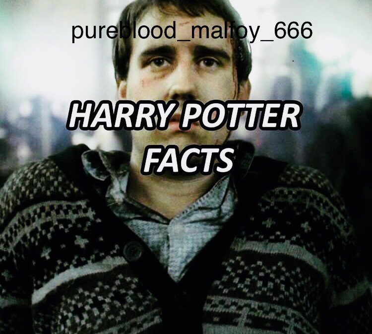 Interesting Harry Potter facts Harry Potter Amino