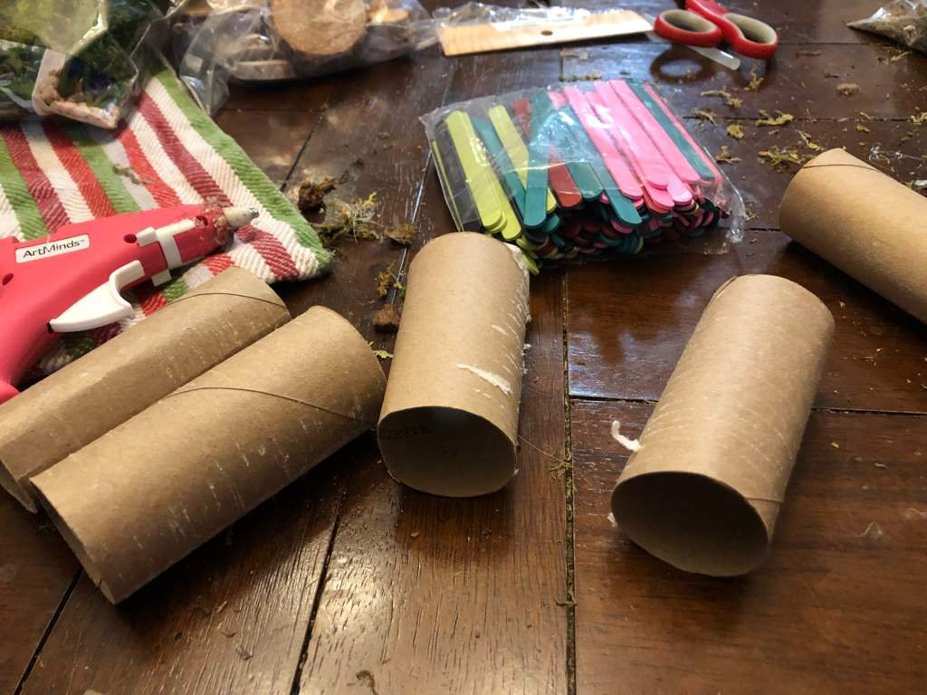 dollar tree hamster supplies