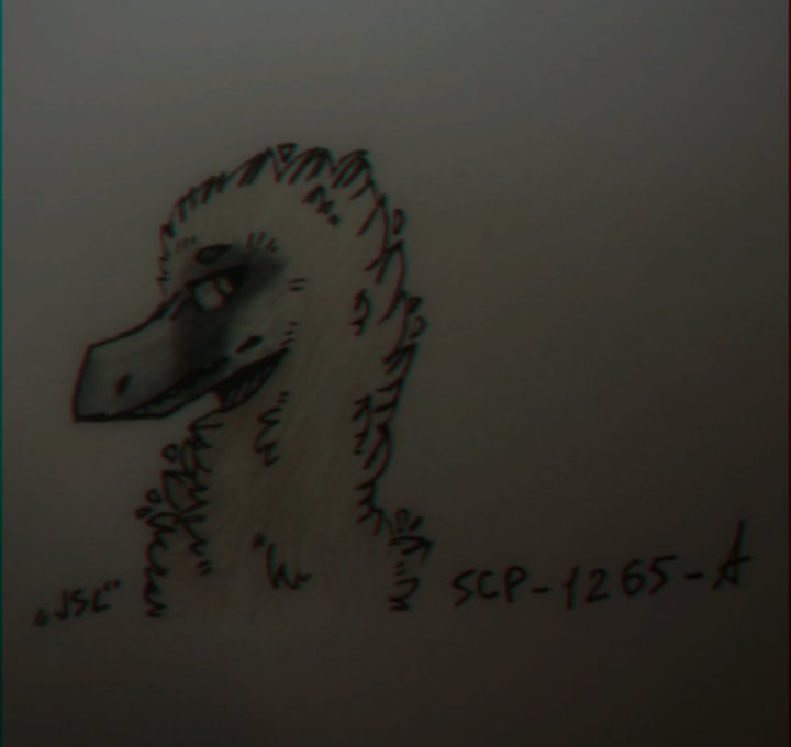 Feathery boi from SCP- 1265-A SCP Foundation Amino.