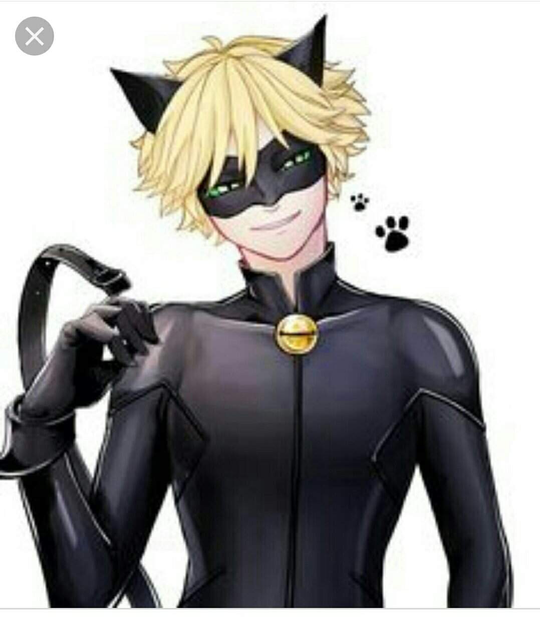 Cat noir x reader