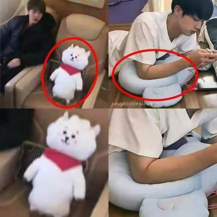 jin with rj plush