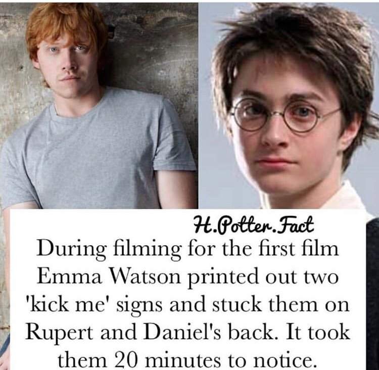 Harry Potter facts 2 Harry Potter Amino