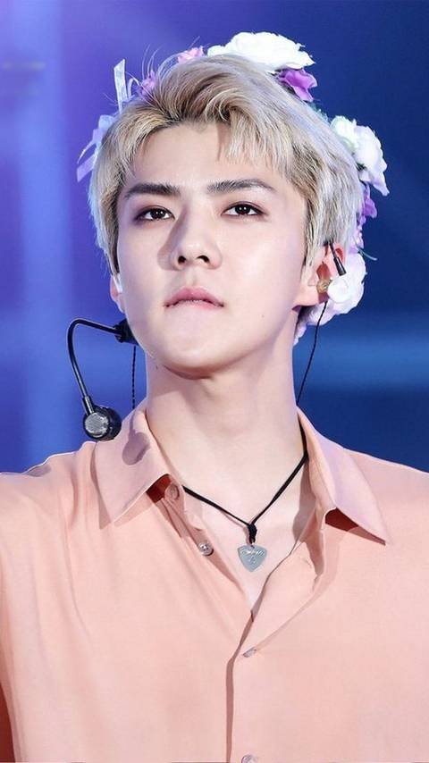 Sehun | Wiki | •K-Pop• Amino