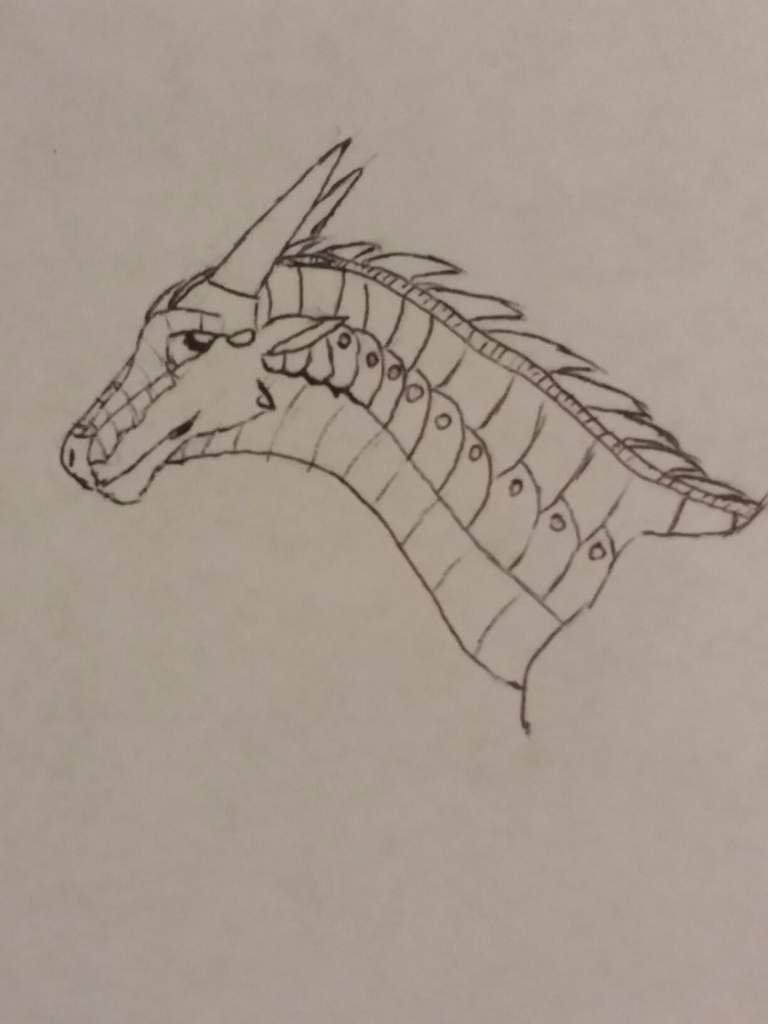 wings of fire moonwatcher map