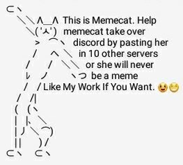 Meme Cat Discord