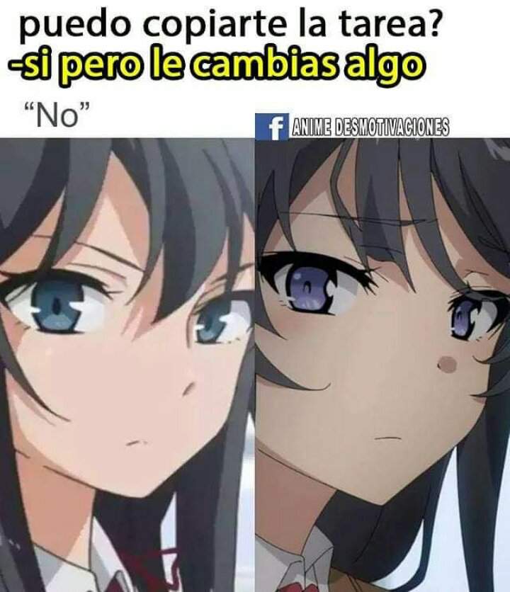 Momos De Anime Xd Anime Amino