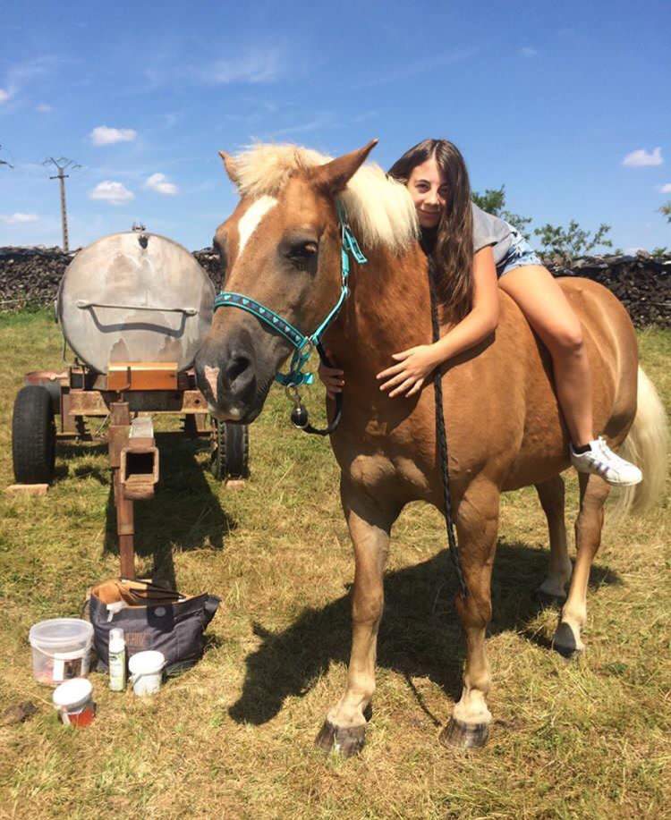 Lettre pour mon cheval Concours relationcheval Équitation FR Amino