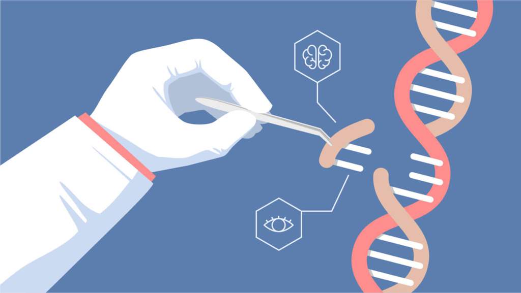 La T Cnica Del Crispr Cas Biolog A Amino