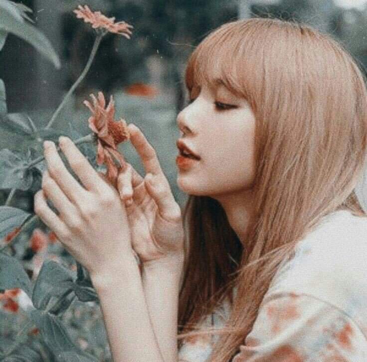 lalis | Wiki | ",,ᥣ᥆᥎ᥱ ᥲᥒd ᥣιvᥱ...🎡" Amino