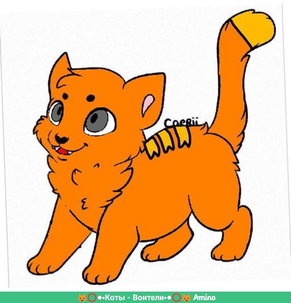 Рыжая | Wiki | 😺⭕ •Коты - Воители• ⭕😺 Amino