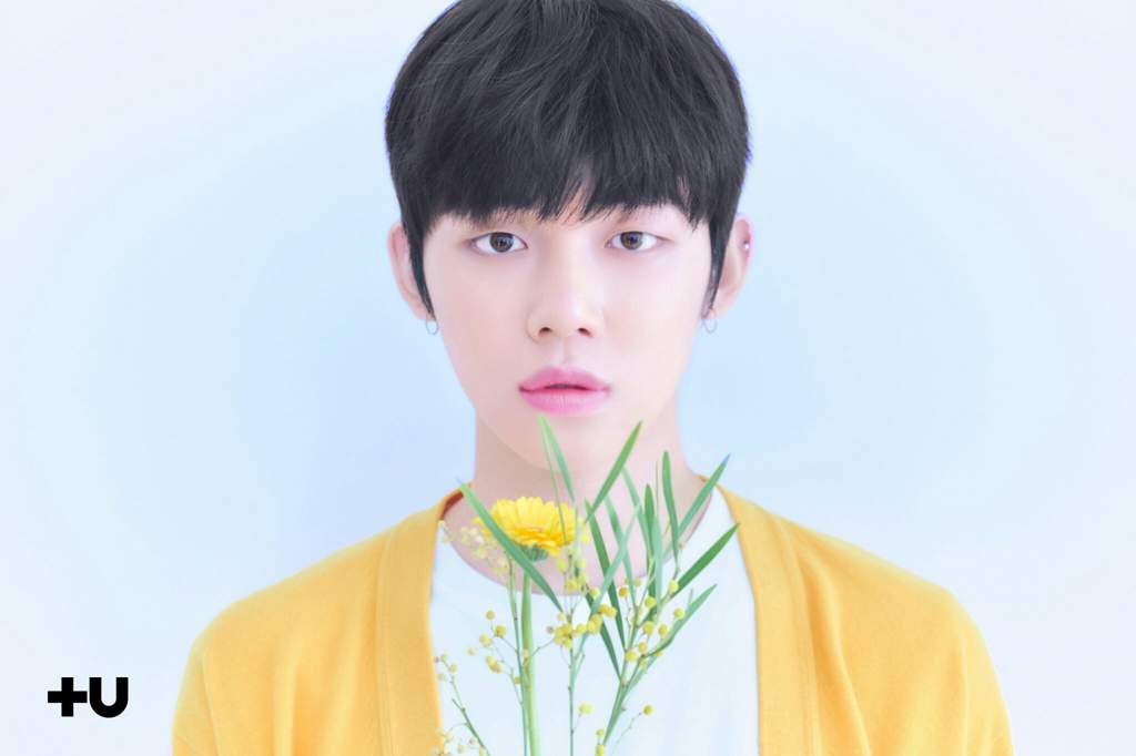☁ Rumores sobre los otros integrantes TXT Amino Español Amino ☁ Rumores sobre los otros integrantes TXT Amino Español Amino