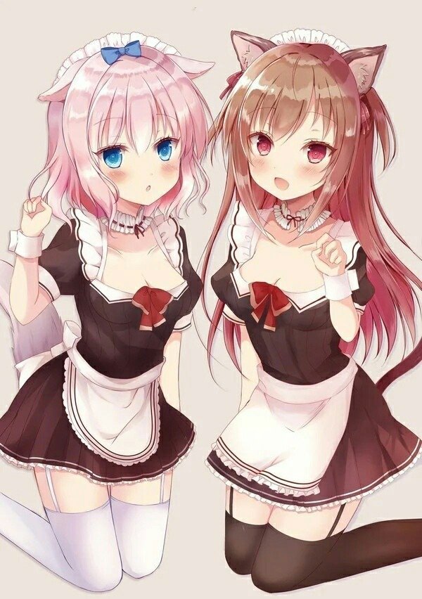 Neko neko anime