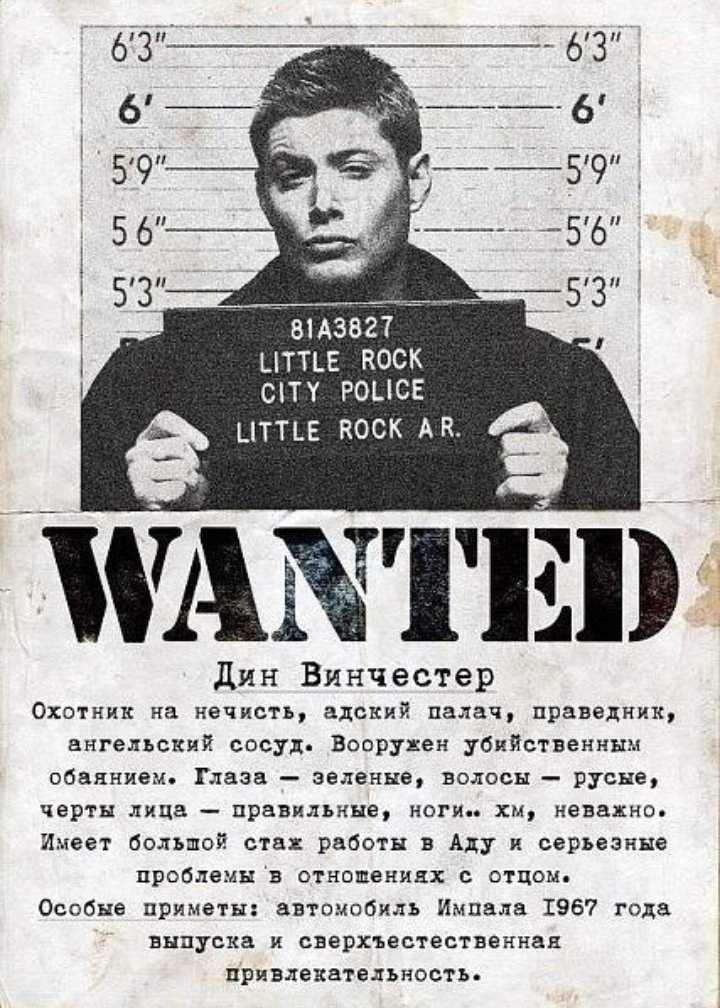 Wanted feel