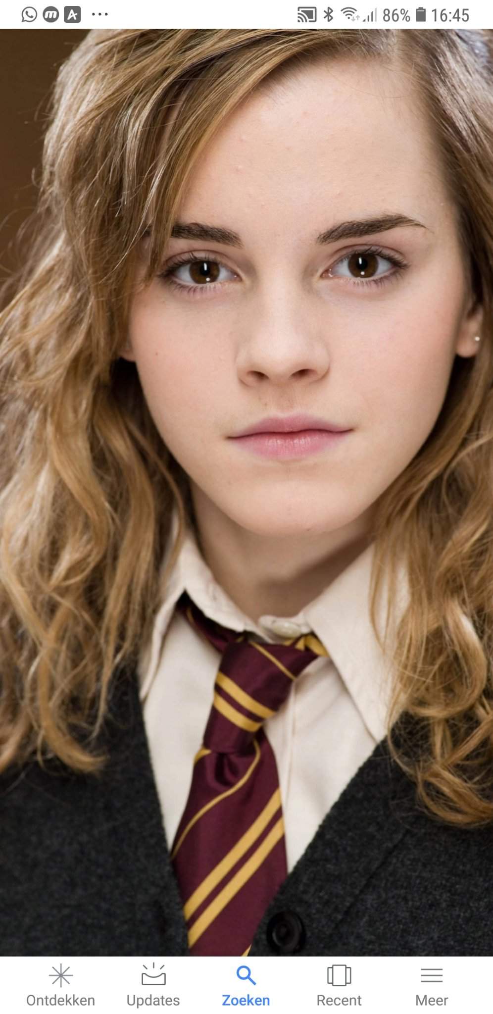 Hermione Granger Wiki Harry Potter Amino