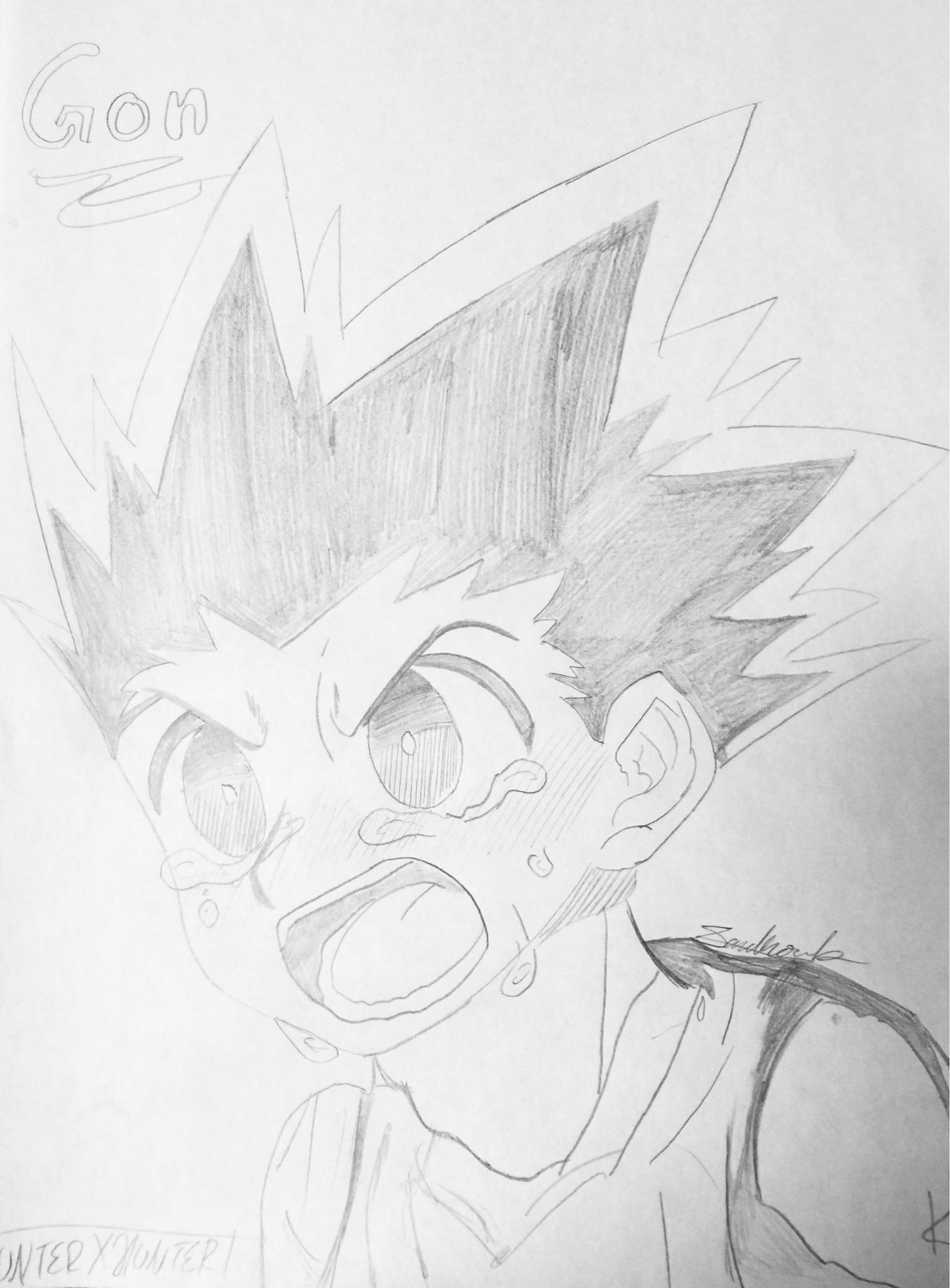 Gon Drawing Hunter X Hunter Amino 4326