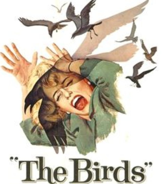 Horror Film Review The Birds 1963 Horror Amino