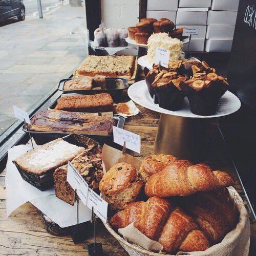 Bakery Bio Wiki Templates and stuff Amino