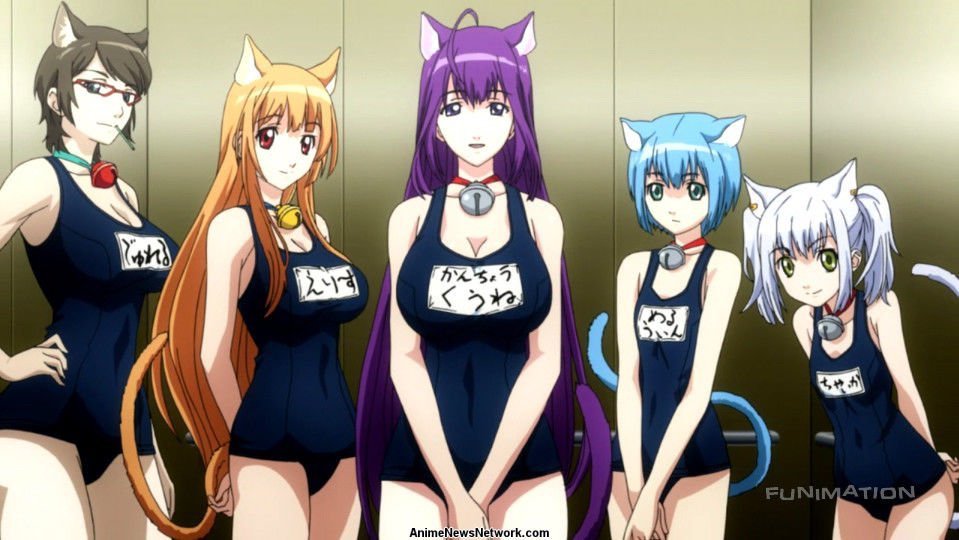 Planet of the cats anime