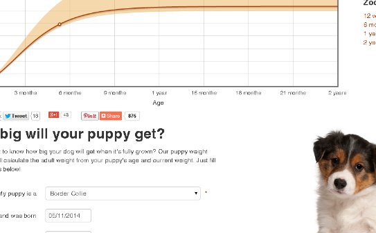 Puppy Growth Chart Predictor