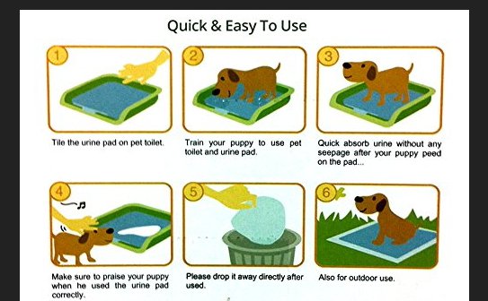 train puppy pee pad dog amino help