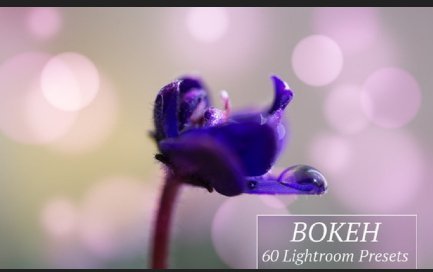 View Bokeh Lightroom Pictures
