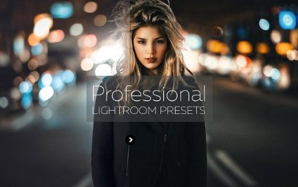 camera raw presets