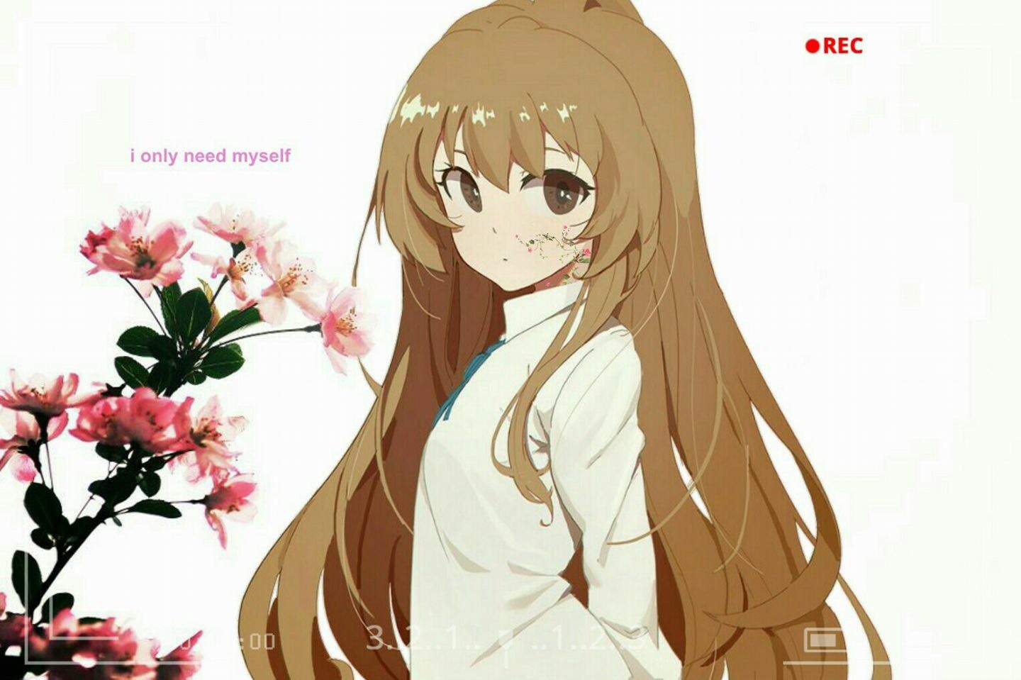 Aisaka Taiga-toradora 