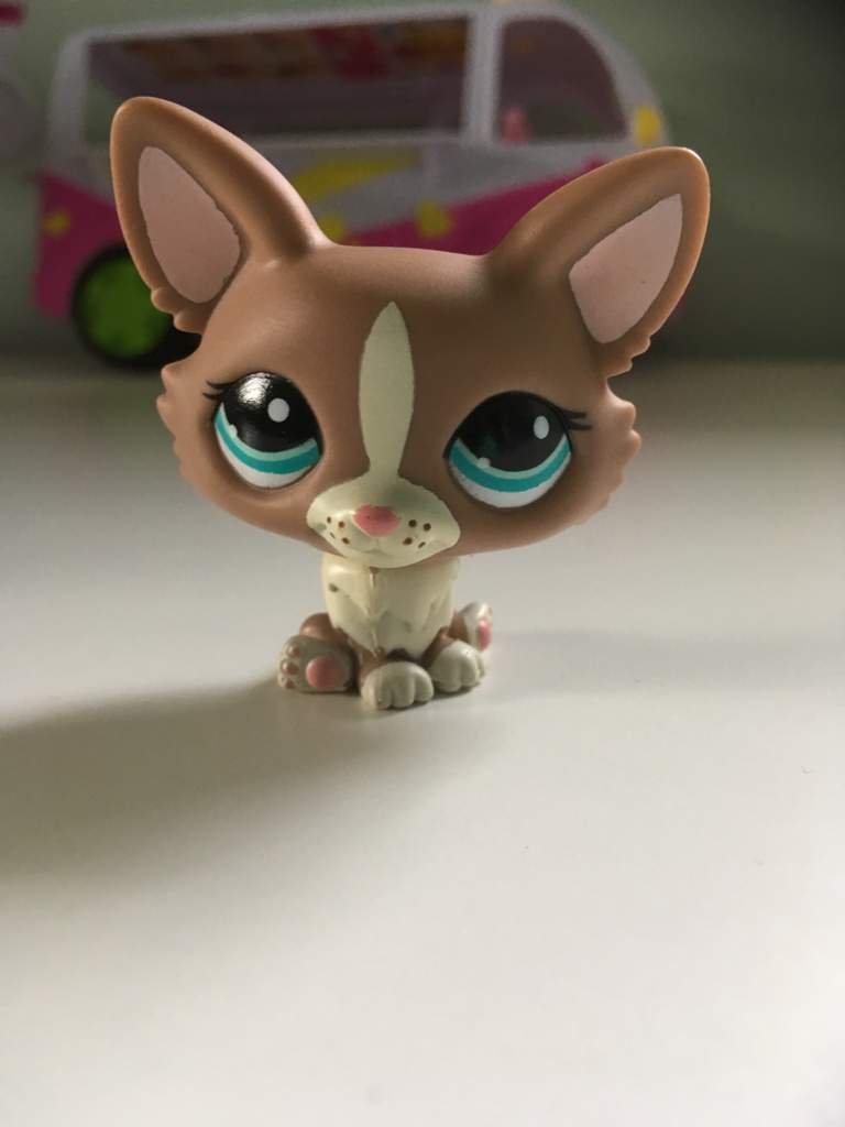 Lost Lps Episodes: Chloe'S Secret Unearthed - e50gea8
