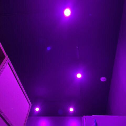 purple room light