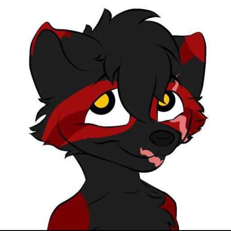 Bandit Wiki Furry Amino 5294