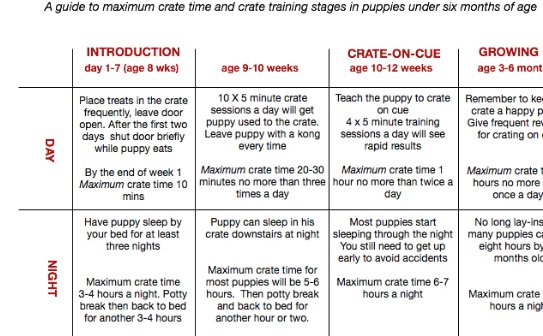 Puppy Crate Schedule 8 Weeks