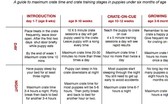 crate training 8 week old puppy night 